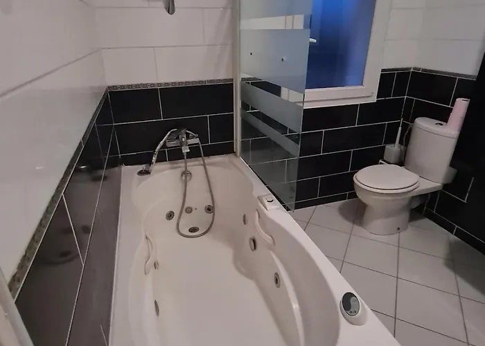 Large House Near Airport Villa Merignac (Gironde)